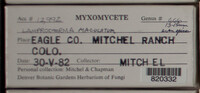 Image Associated With the Occurence